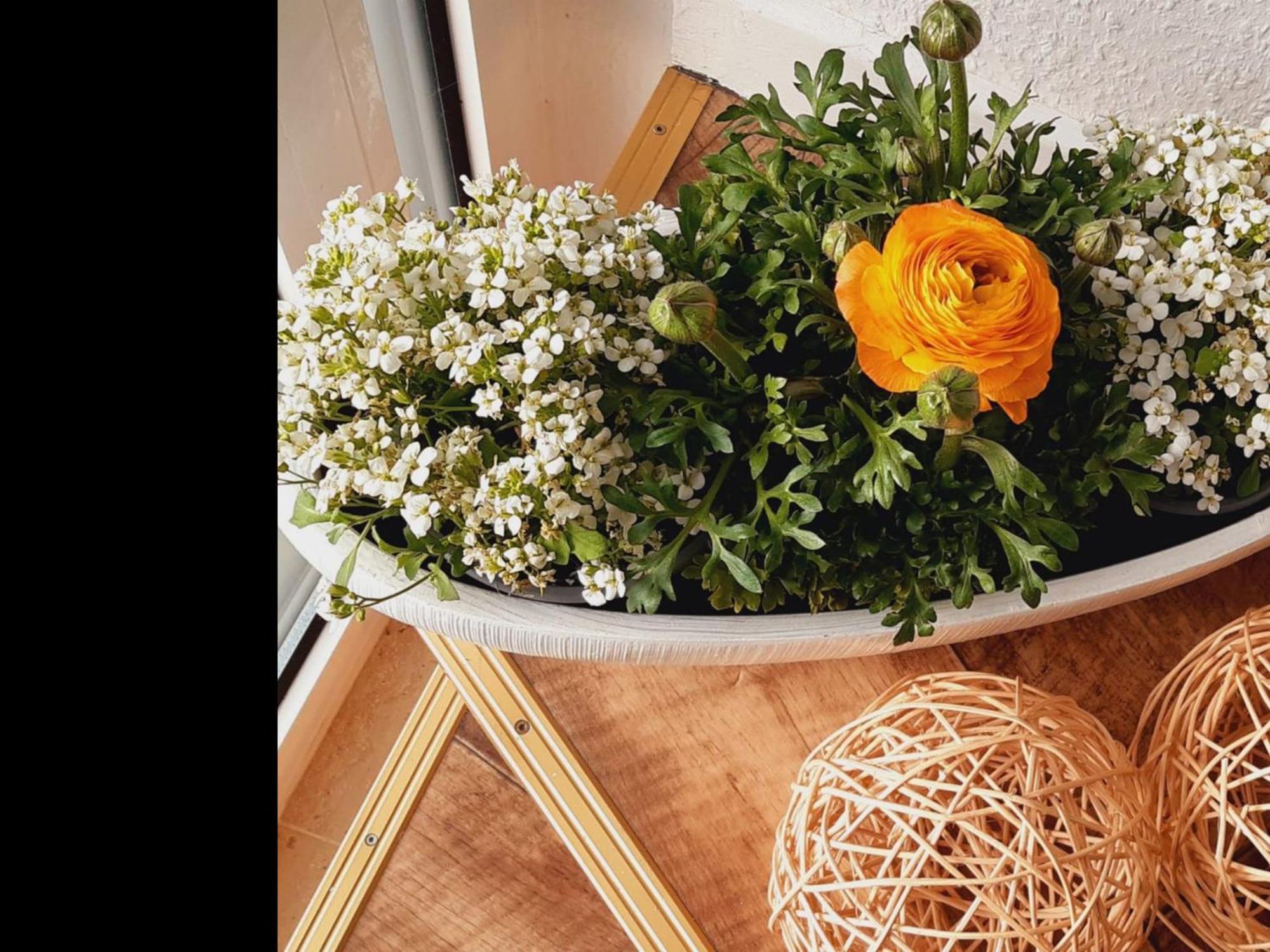 Neu Ferienwohnung Walsrode Εξωτερικό φωτογραφία